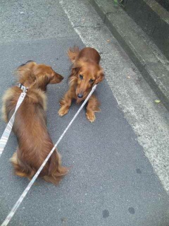 ̓g~ODay