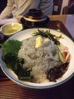 生しらす丼～