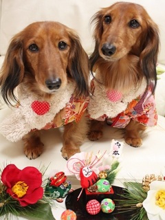 A HAPPY NEW YEAR !