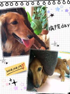 ߂ a@day